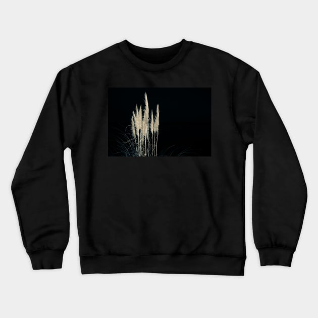 Pampas flowers and leaves isolated on black. Crewneck Sweatshirt by brians101